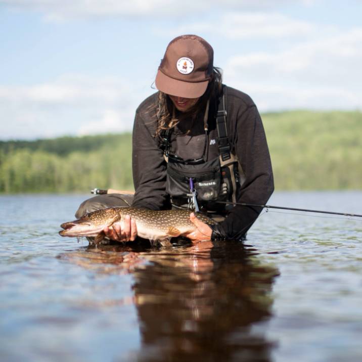 Pêche au doré et au brochet